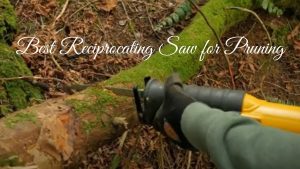 Best Reciprocating Saw for Pruning